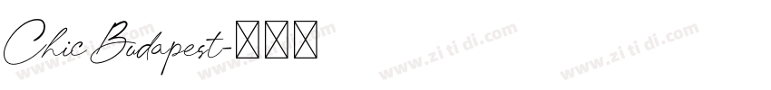 Chic Budapest字体转换